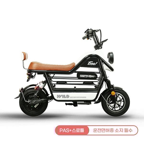 [레이윙] 디스커버리 와일드 S20 12A 전기 전동스쿠터 렌탈 가격비교