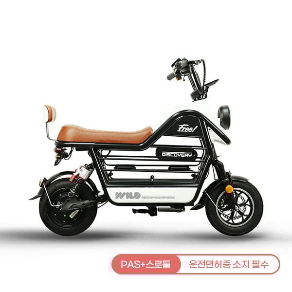 [레이윙] 디스커버리 와일드 S20 28A 전기 전동스쿠터 렌탈 가격비교