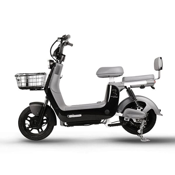 [레이윙] 디스커버리 프레시 S10 28A 전기 전동 스쿠터 렌탈 가격비교