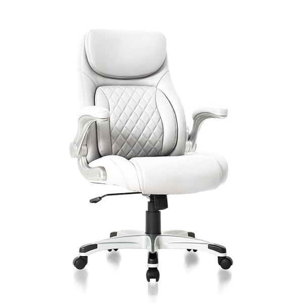 [누하스] 오피스 체어 POSTURE (화이트) 렌탈 가격비교