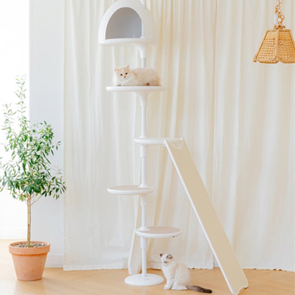 [화이트폴] Z타입 캣타워 (화이트) 렌탈 가격비교
