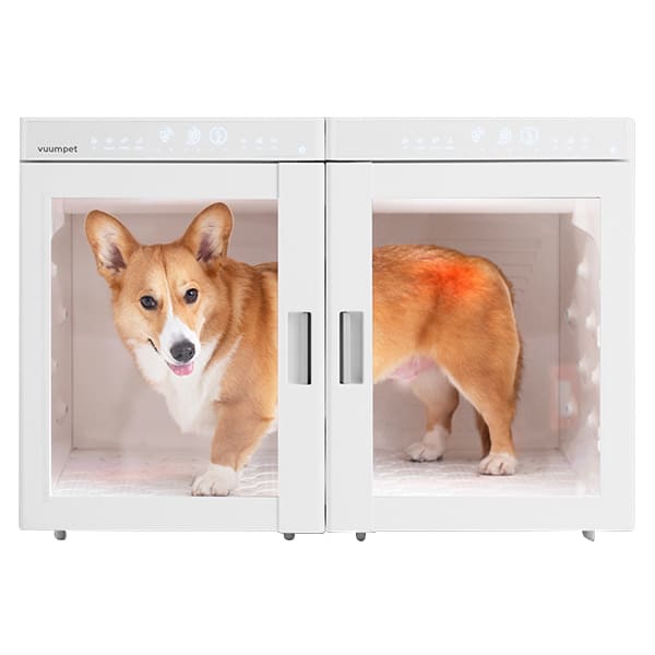 [붐펫] 펫드라이룸 단델리온 듀얼 (화이트) 렌탈 가격비교