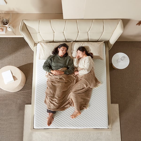 [한국갤러리] 베이모션베드 렌탈 가격비교