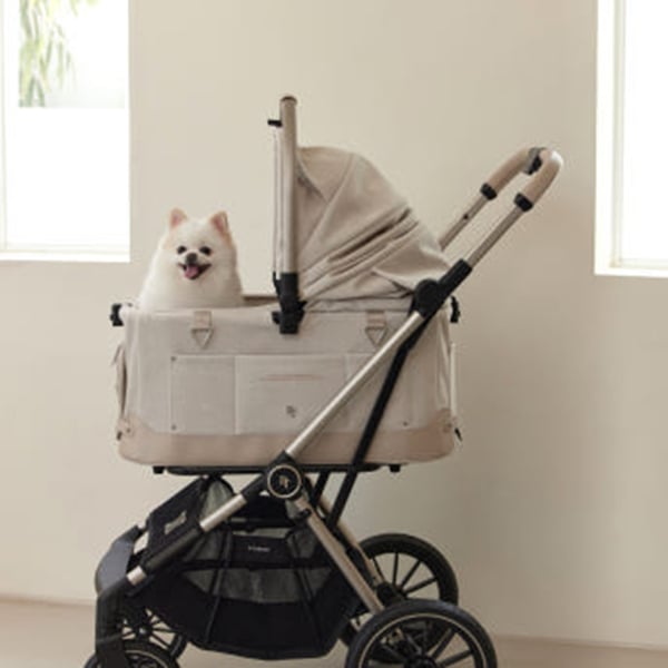 [디트로네] 쁘띠 펫 스탠다드 유모차 (베이지) 렌탈 가격비교
